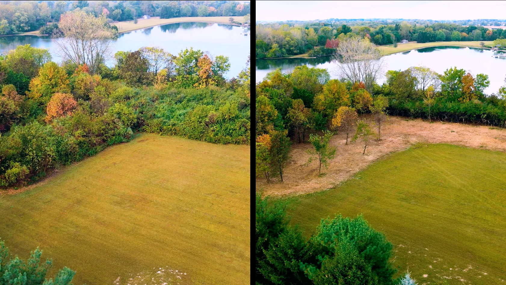 Land clearing in progress