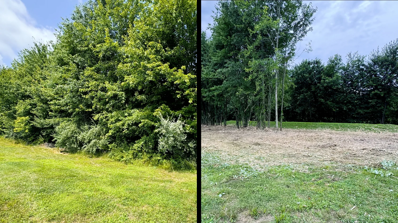 Cleared and graded property